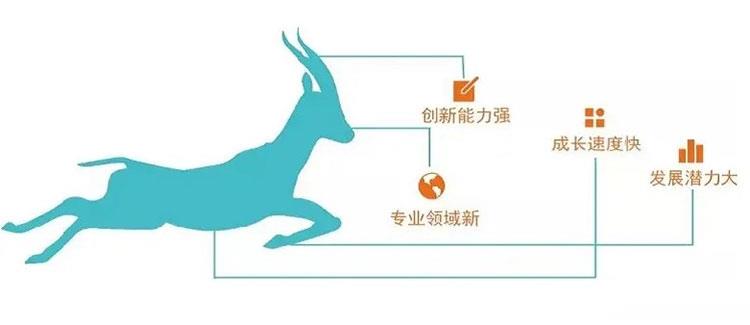 蜜桃成品人视频免费入口